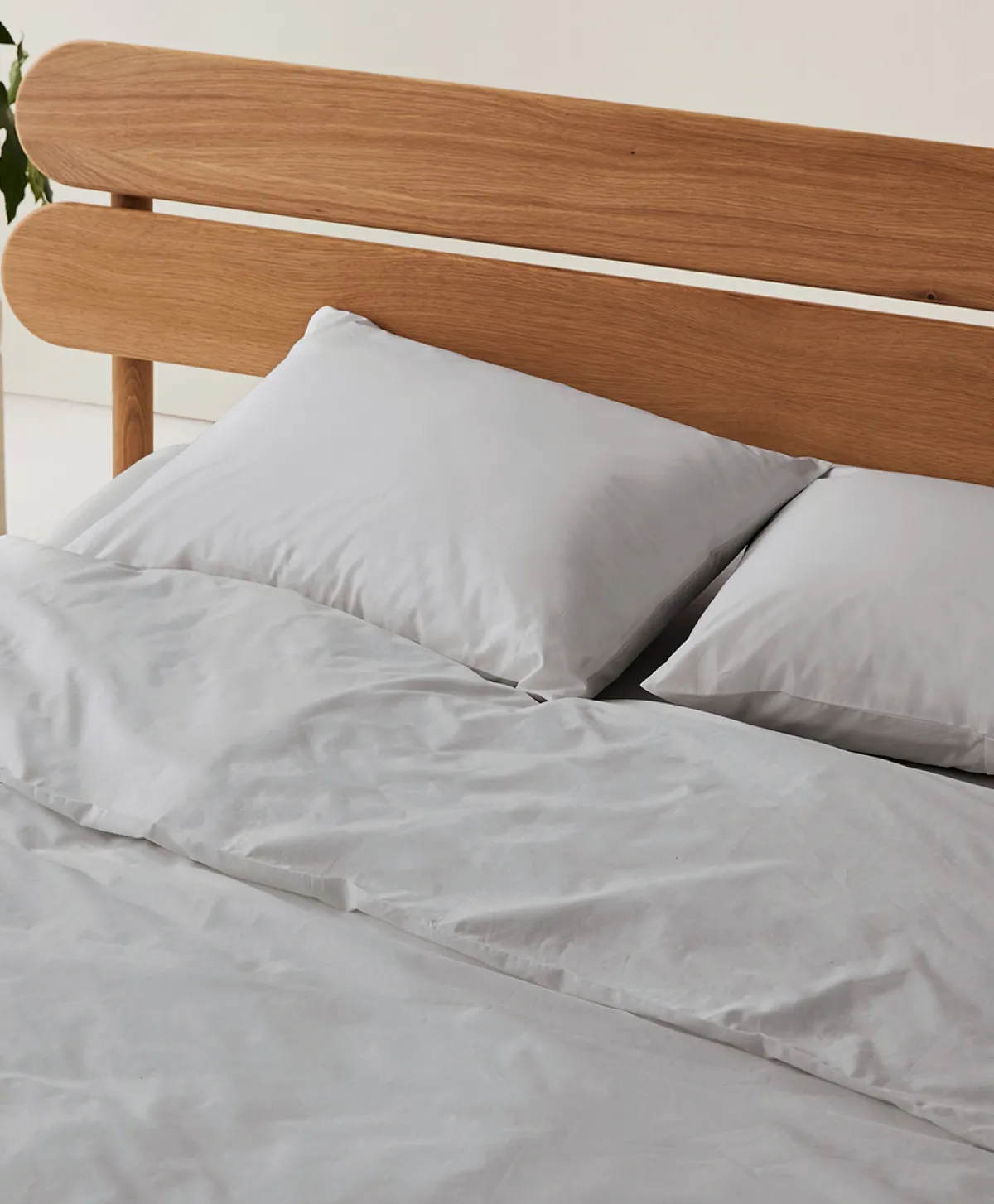 Women Pact Organic Cool-Air Percale Sham 2-Pack
