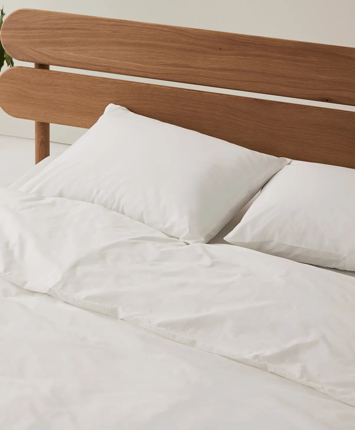Women Pact Organic Cool-Air Percale Sham 2-Pack